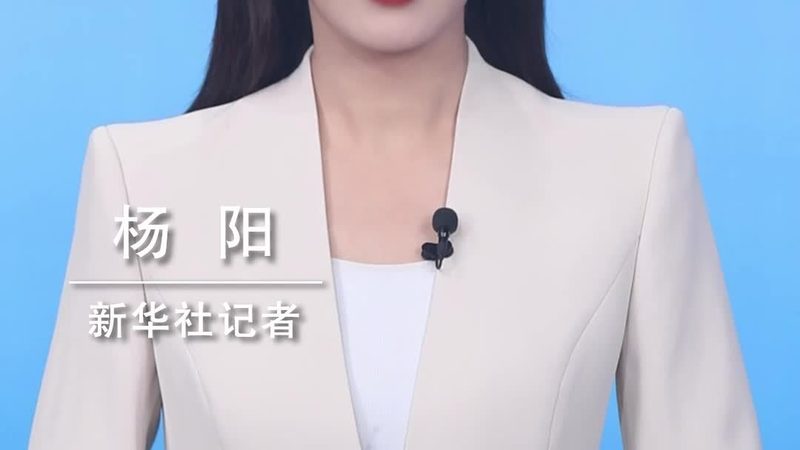 揭秘数据治理平台：参数与规格解析