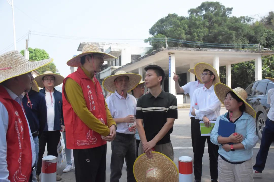 大横琴集团党委组织下属党组织开展义务植树活动